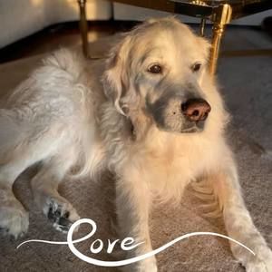 Meet your Posher, Ernest